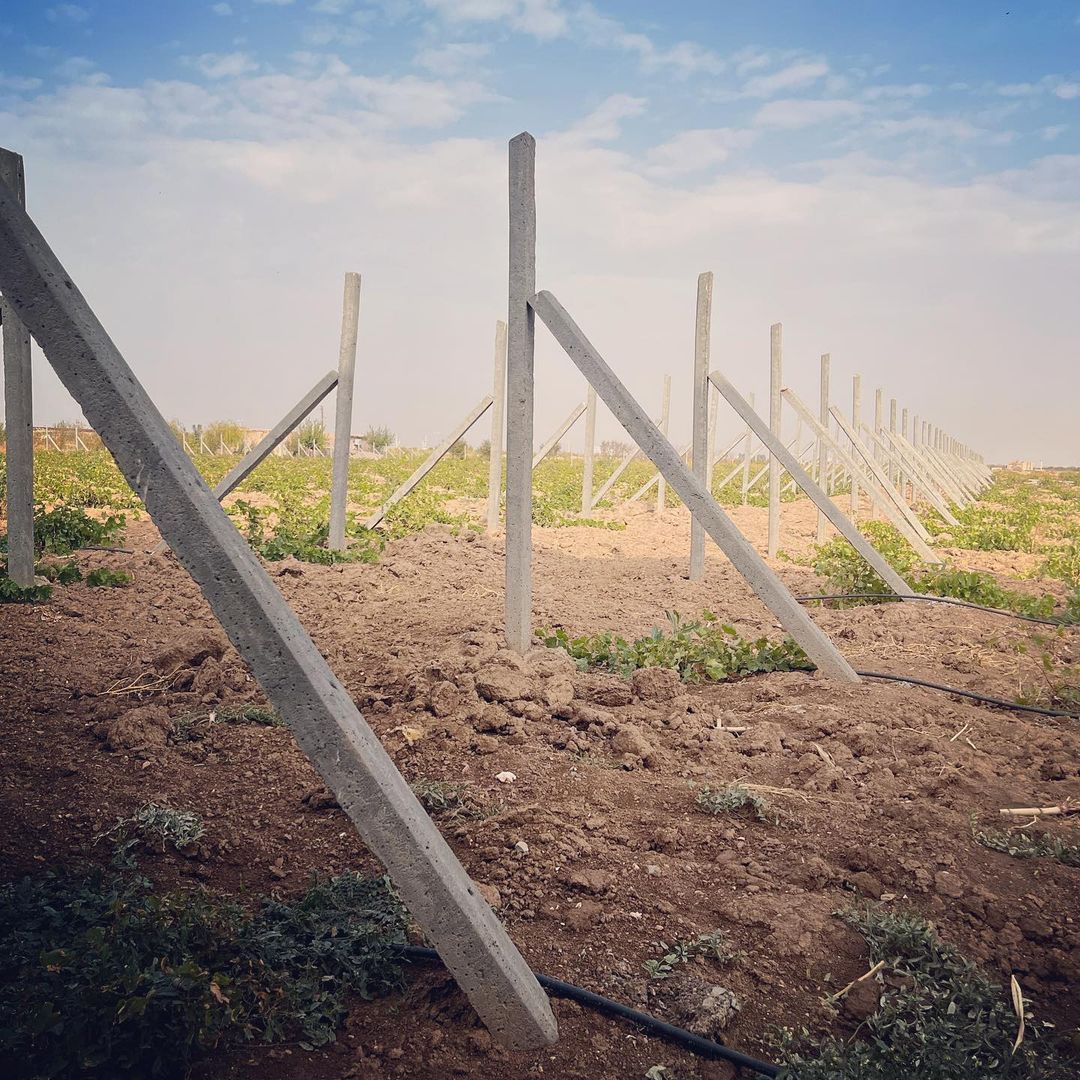 پایه داربست انگور پایه داربست انگور