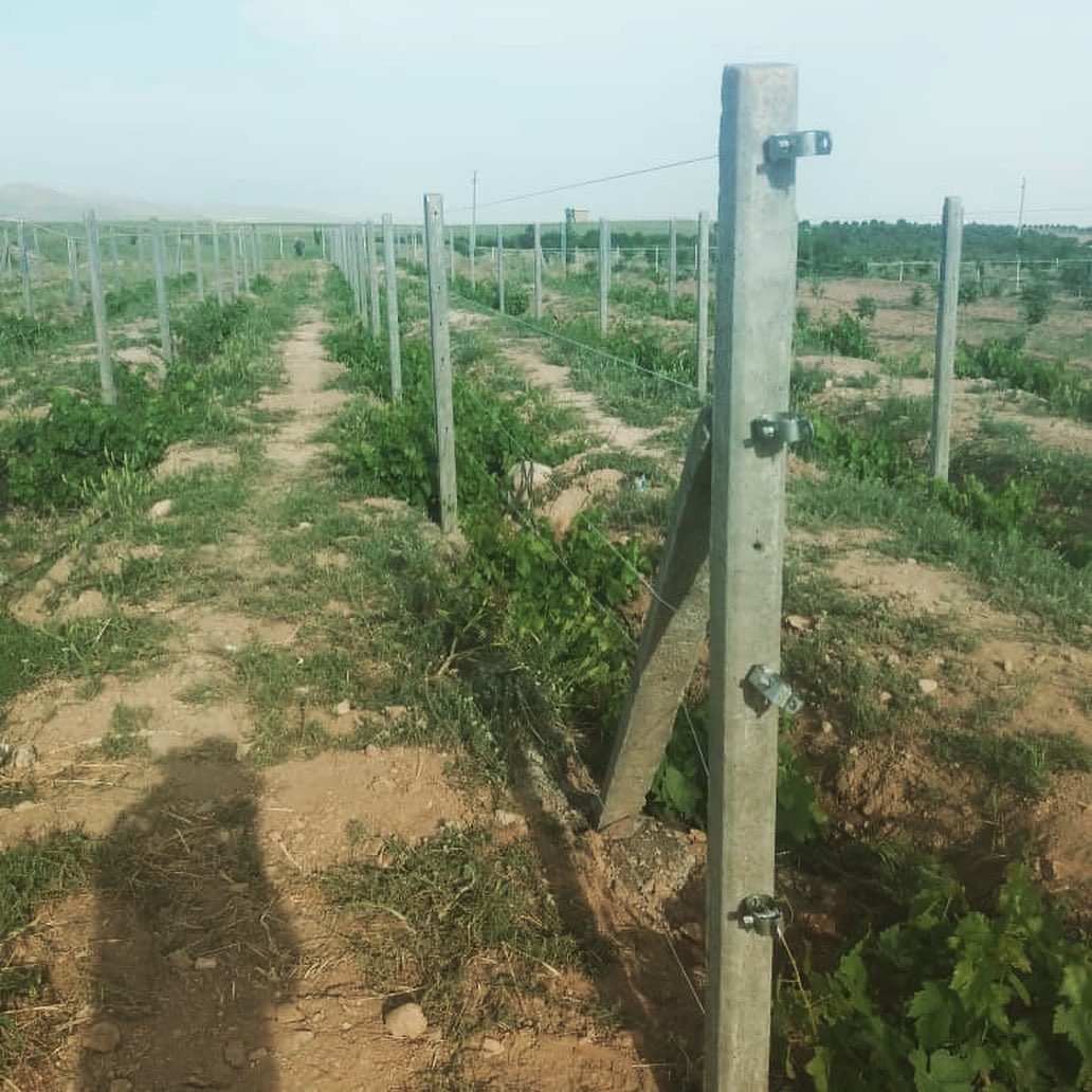 مفتول گالوانیزه