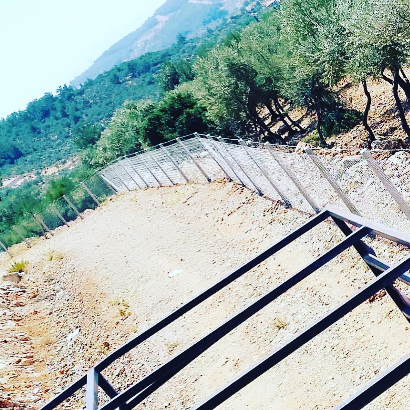 سیم خاردار